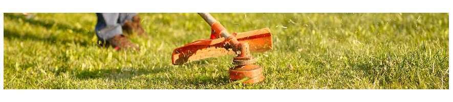 Tanks for brush cutter and 4 in 1 Scheppach Woodstar - Probois