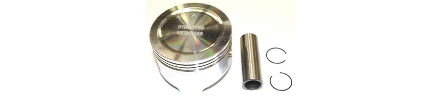 Kolben und kolbenringe für Scheppach und Woodster rasenmäher