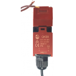 Safety switch