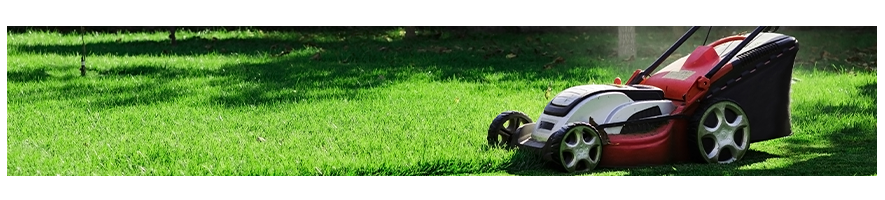 Charger for Scheppach and Woodster lawn mower - Probois Machinoutils