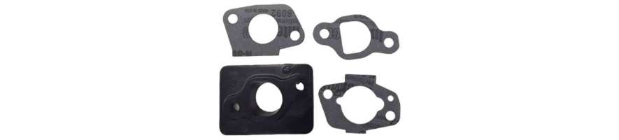 Carburetor gaskets for Scheppach and Woodstar lawn mower - Probois