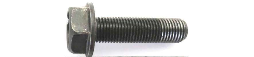 Screw for Scheppach and Woodstar mower blade - Probois Machinoutils