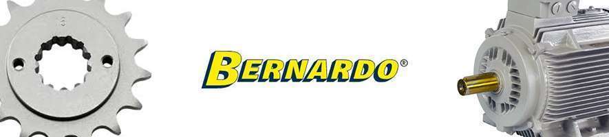 Spare parts for Bernardo DC250CF dust collector - Probois