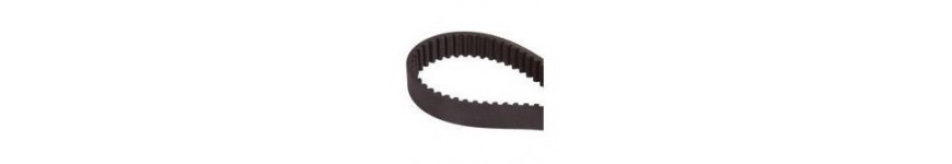 Cintura dentata per macchine de legno Lurem - Probois machinoutils